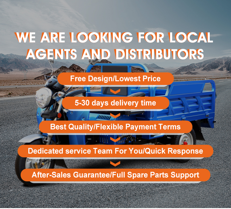 Tricycle Electric Scooter 3 Wheels Electric Tricycle Motorcycle for Adults Passenger in Cheap